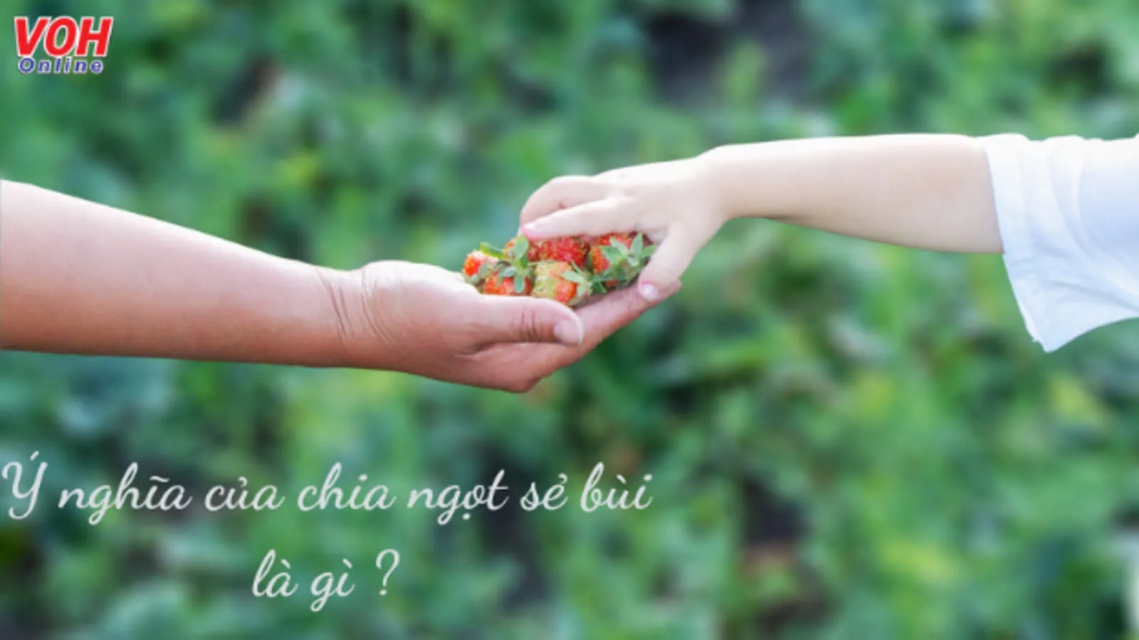 Ngọt Bùi Là Gì? Gallery 2