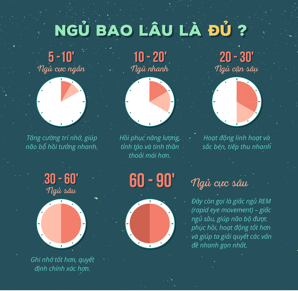 Ngủ Bao Nhiêu Tiếng Để Tỉnh Táo?