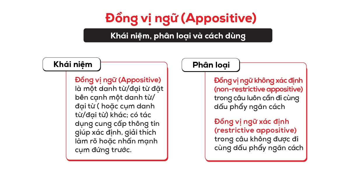 Ngữ Đồng Vị Là Gì?