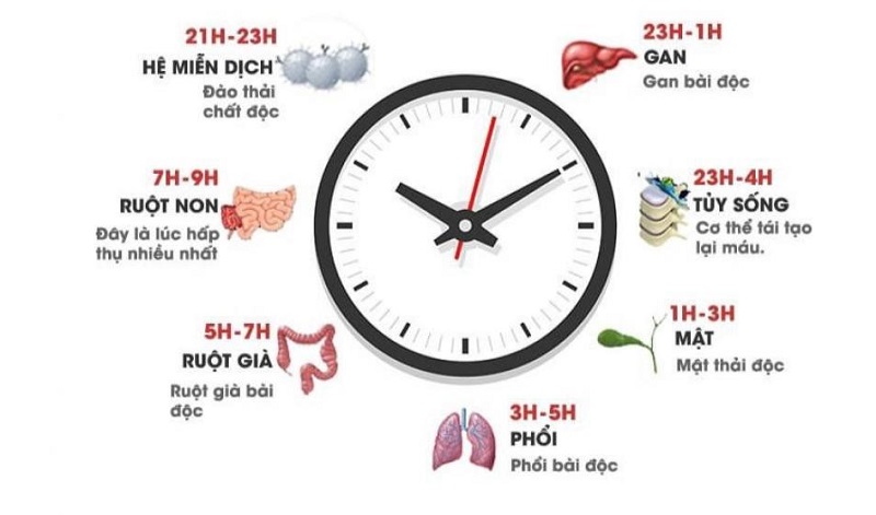 Ngủ muộn bị gì?