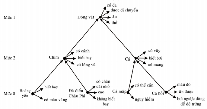 Ngữ nghĩa học là gì? Gallery 2