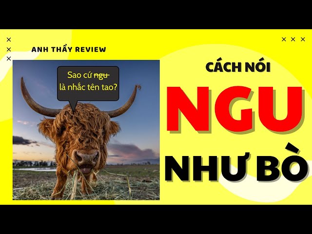 What is the English Translation of "Ngu Như Bò"?
