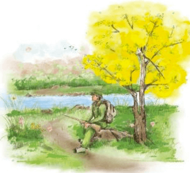 Ngữ Văn 7: Đồng Dao Mùa Xuân