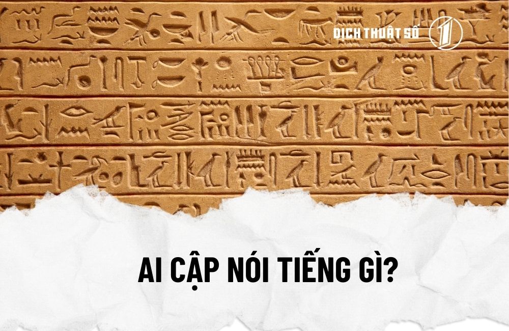 Người Ai Cập Nói Tiếng Gì? Gallery 2