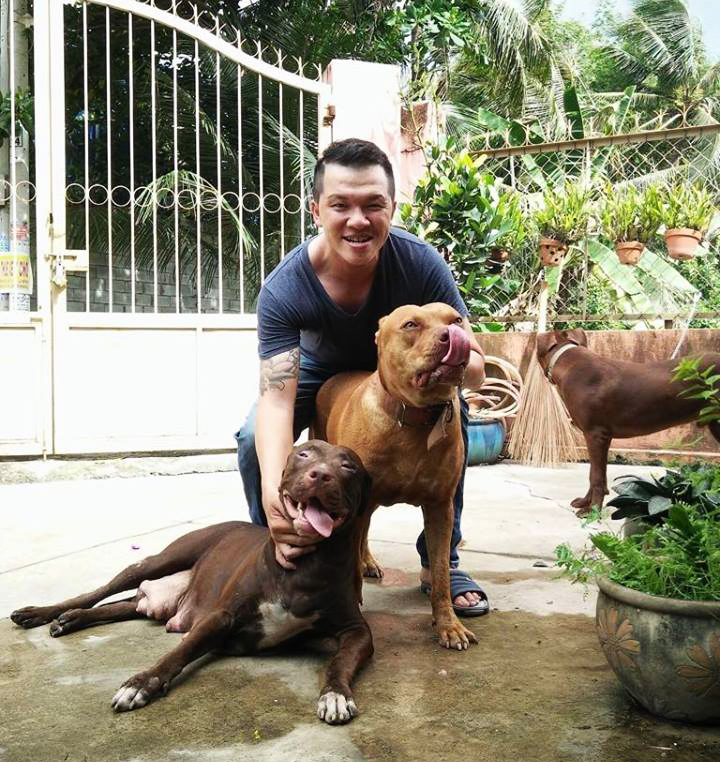 Chó cái: Hướng dẫn chăm sóc và huấn luyện toàn diện
