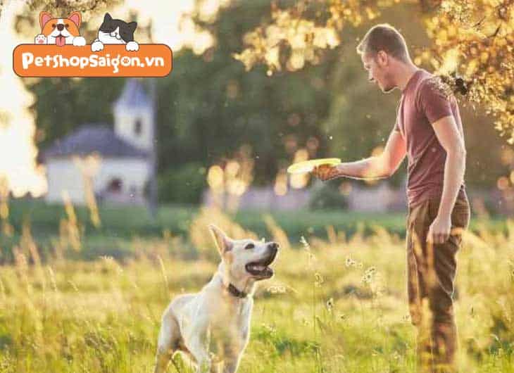 Người chơi với chó: Hướng dẫn và mẹo hữu ích