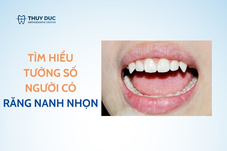 Người Có Răng Nanh Nhọn Là Người Như Thế Nào?