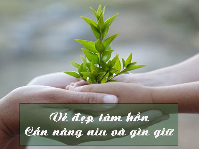 Người Có Tâm Hồn Đẹp Là Ai? Gallery 2