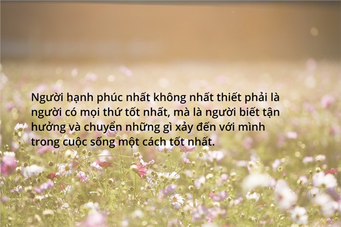 Người hạnh phúc không phải là người có những thứ tốt đẹp nhất