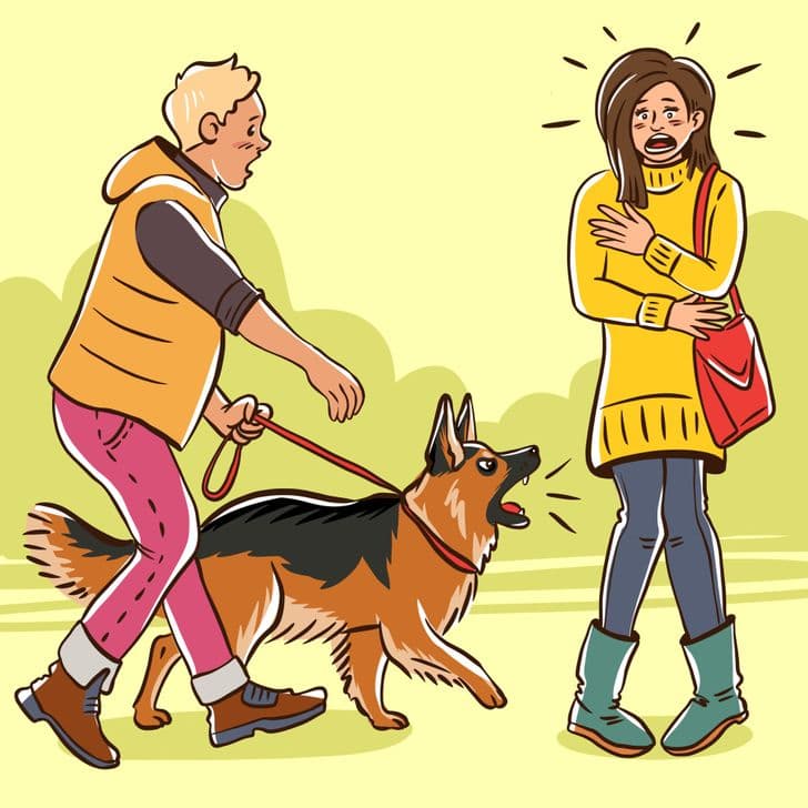 Tôi thường xuyên bị chó sủa, phải làm sao?