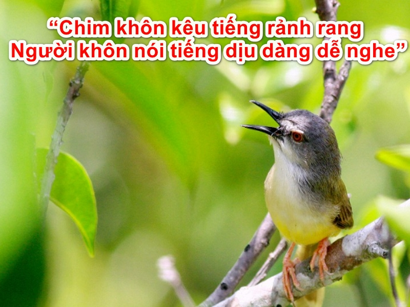 Người Khôn Nói Tiếng Rảnh Rang