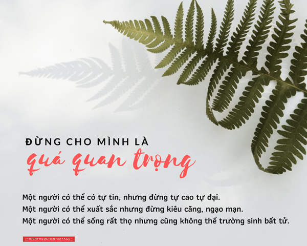 Người Luôn Cho Mình Là Đúng Gọi Là Gì? Gallery 2