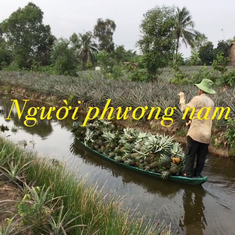 Người Phương Nam Gallery 2