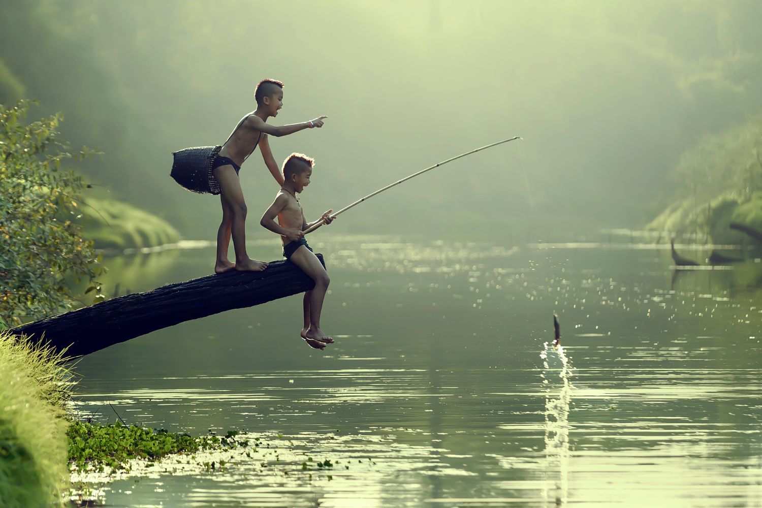 Người Ta Câu Cá Để Làm Gì? Gallery 2