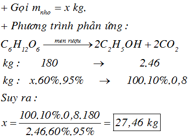 Sản Xuất Rượu Vang Từ Nho Hiệu Suất 95%
