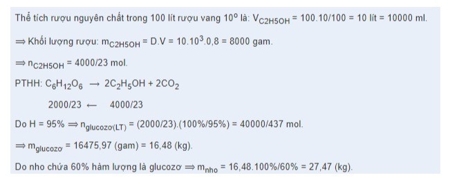 Sản Xuất Rượu Vang Từ Nho Hiệu Suất 95% Gallery 2