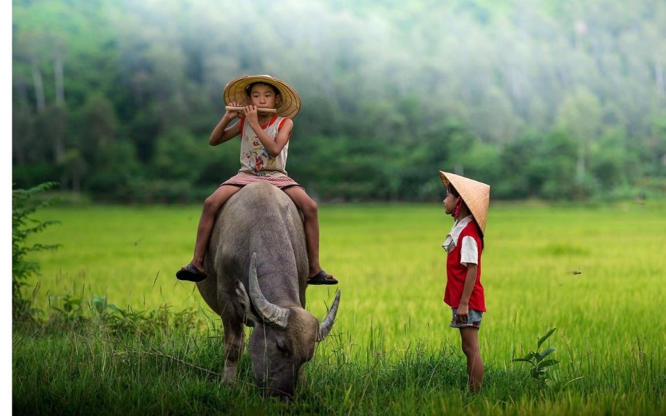 Vai trò quan trọng của quê hương đối với mỗi con người Gallery 2