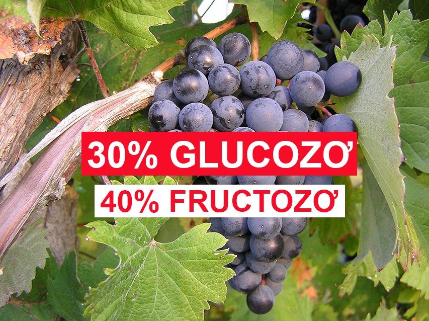 Glucozo có ở đâu? Gallery 1