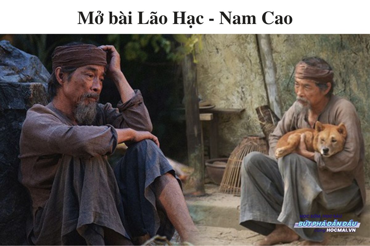 Lão Hạc có thật không? Gallery 1