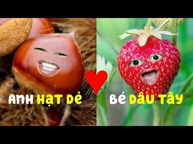 Bé Dâu và Anh Hạt Dẻ: Câu Chuyện Tình Yêu Cổ Tích Đáng Yêu Gallery 1