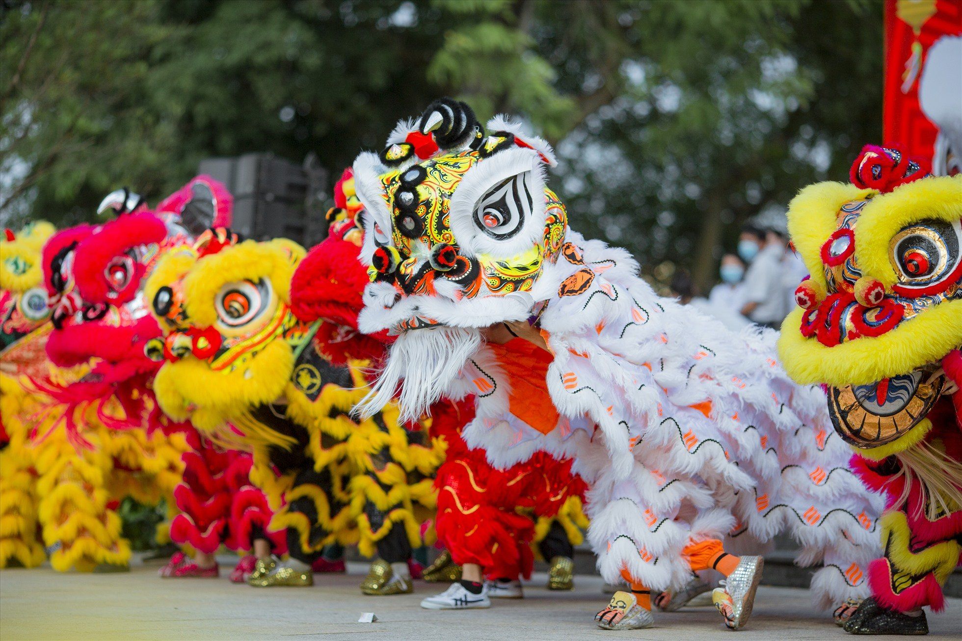Truyền Thuyết Lân Sư Rồng Gallery 1