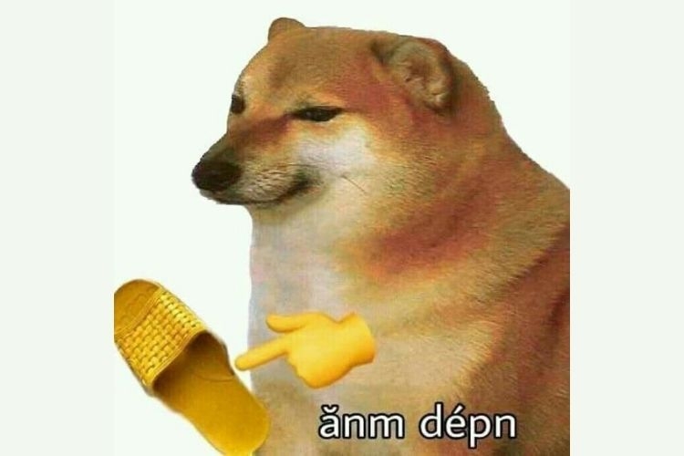 Meme Chảnh Chó: Nguồn Gốc, Ý Nghĩa và Cách Sử Dụng Gallery 1