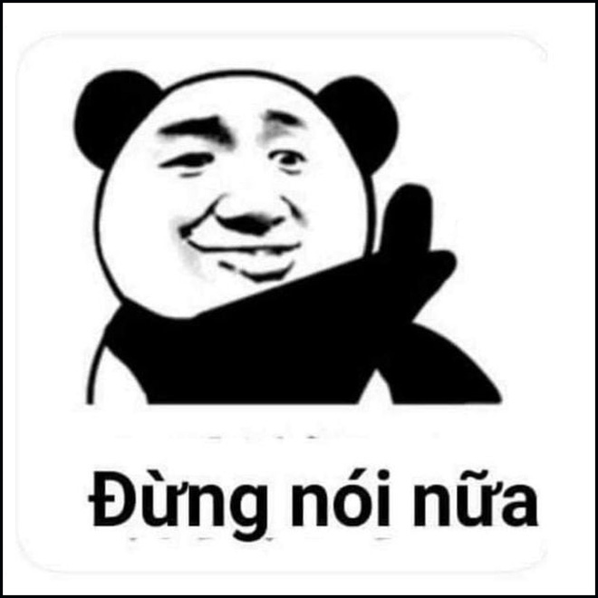 Meme Con Gấu: Nguồn Gốc, Ý Nghĩa Và Sự Phổ Biến Gallery 1