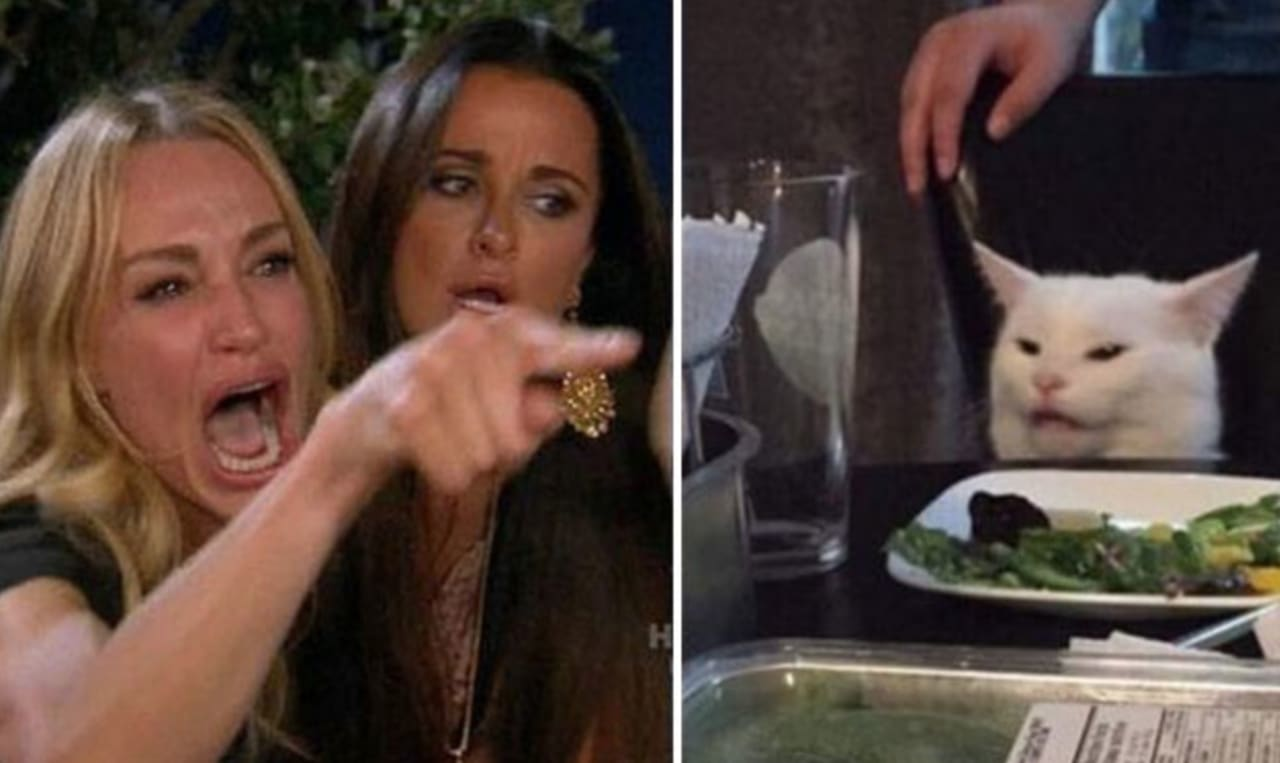 Meme Con Mèo Trắng: Nguồn Gốc, Ý Nghĩa Và Những Biến Tấu Hài Hước Gallery 1