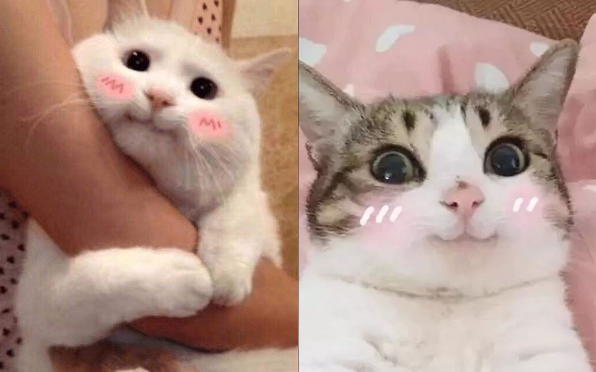 Meme Cười Mỉm: Nguồn Gốc, Ý Nghĩa Và Những Biến Tấu Hài Hước Gallery 1