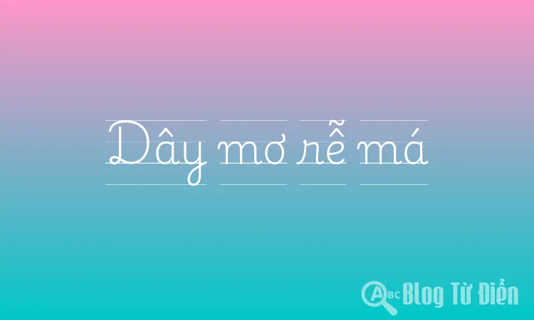 Dây mơ rễ má nghĩa là gì? Gallery 1