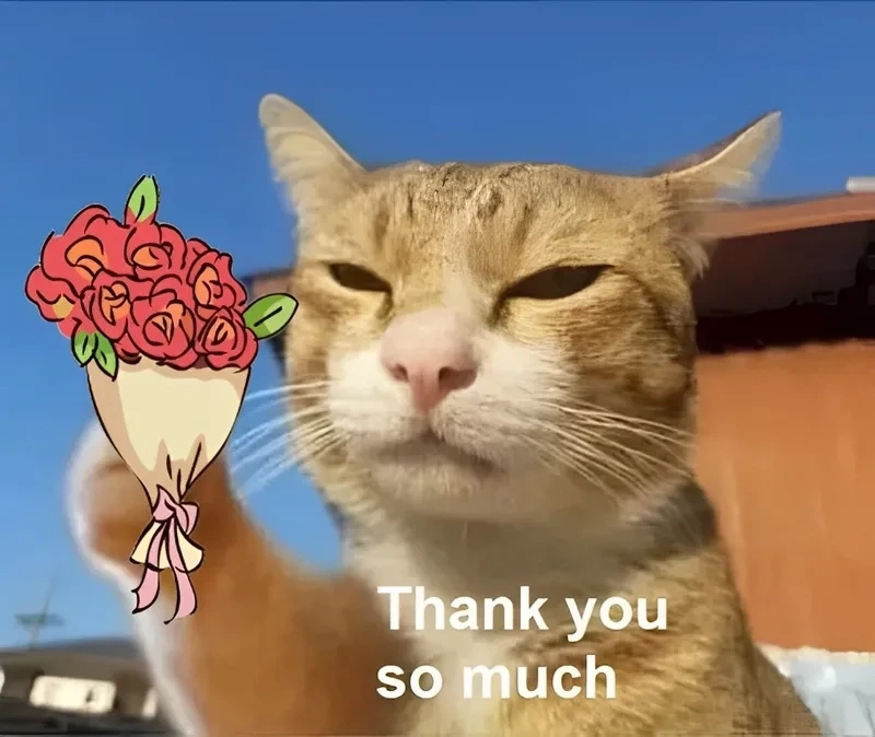 Thank Meme: Nguồn Gốc, Ý Nghĩa Và Sự Phổ Biến Gallery 1