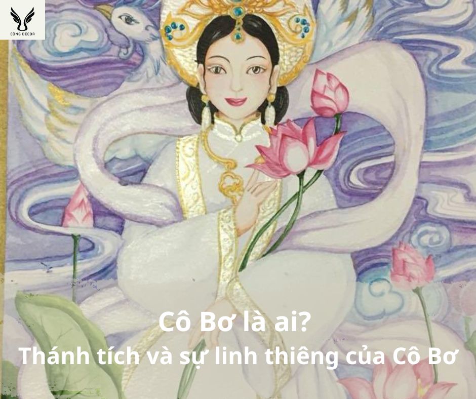 Bóng Cô Bơ Là Gì? Gallery 1