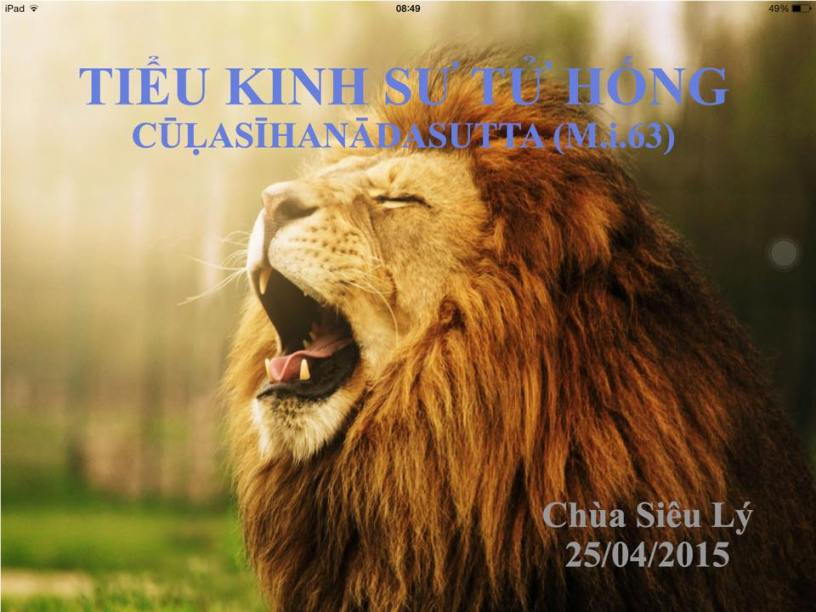 Sư Tử Hống Là Gì? Gallery 1