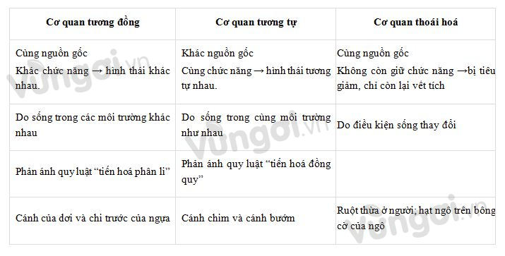 Đặc điểm cơ bản để phân biệt vật thể tự nhiên và vật thể nhân tạo Gallery 1
