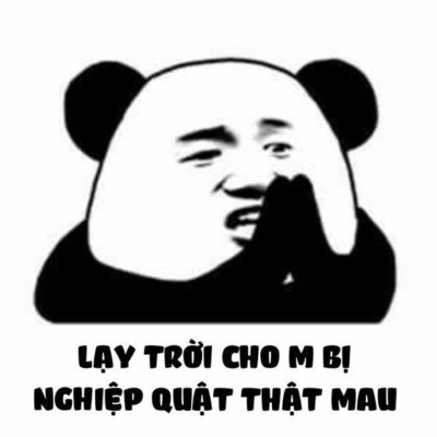 Meme Gấu Trúc Ngầu: Nguồn Gốc, Ý Nghĩa Và Cách Sử Dụng Gallery 1