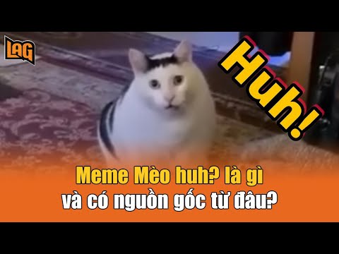 Meme Mèo Cáu: Nguồn Gốc, Ý Nghĩa Và Cách Sử Dụng Gallery 1