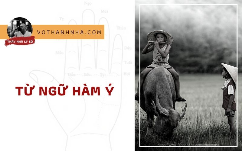 Một Tấc Đến Trời: Ý Nghĩa, Nguồn Gốc và Ứng Dụng Gallery 1
