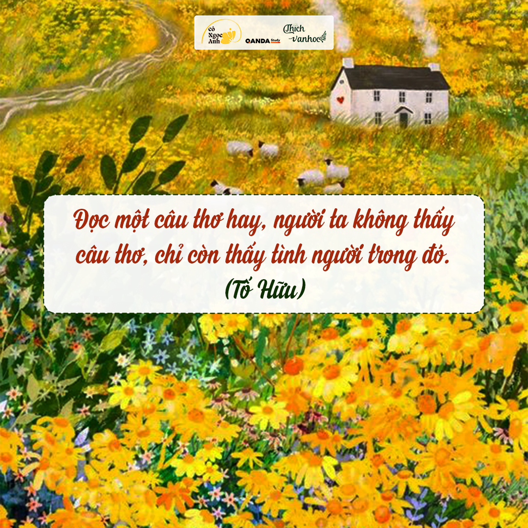 Tình ơi sao đi mãi nên sông dài mênh mông Gallery 1