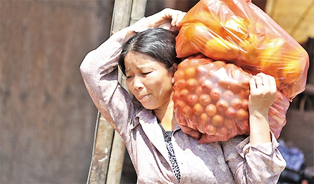 Dãi nắng dầm mưa là gì? Gallery 2
