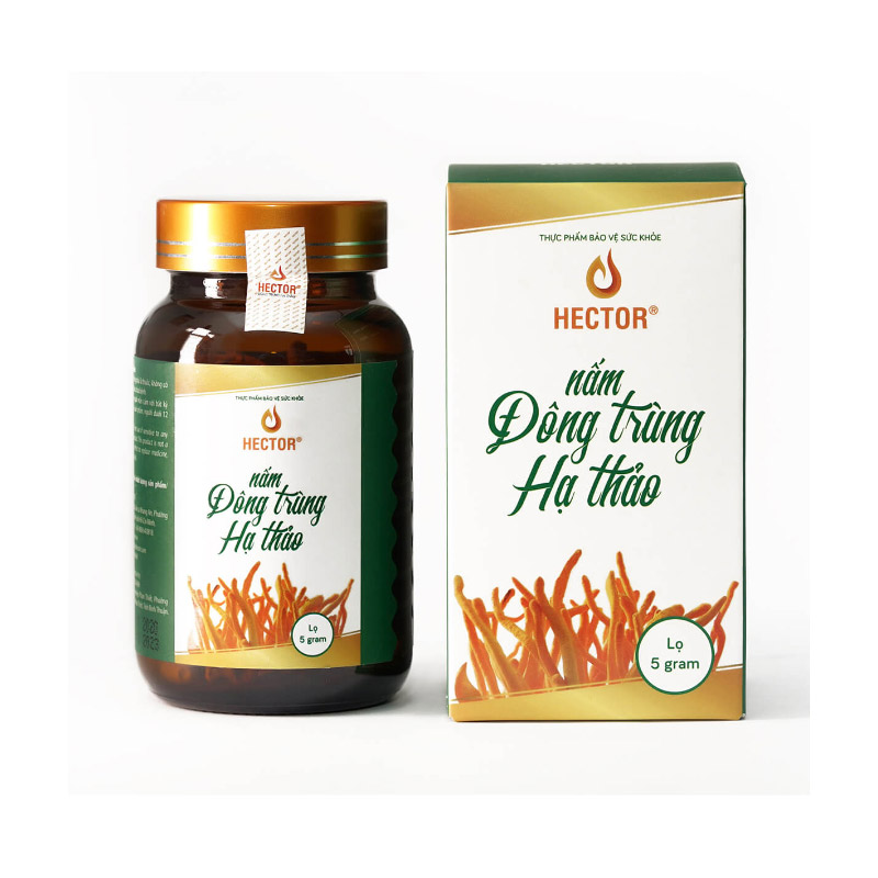 Dong Trùng Hạ Thảo Hector: Nguồn Gốc, Công Dụng Và Cách Sử Dụng Gallery 1