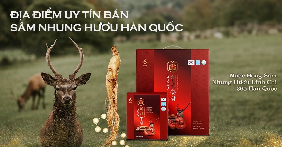 Nhung Hươu Hàn Quốc Gallery 1