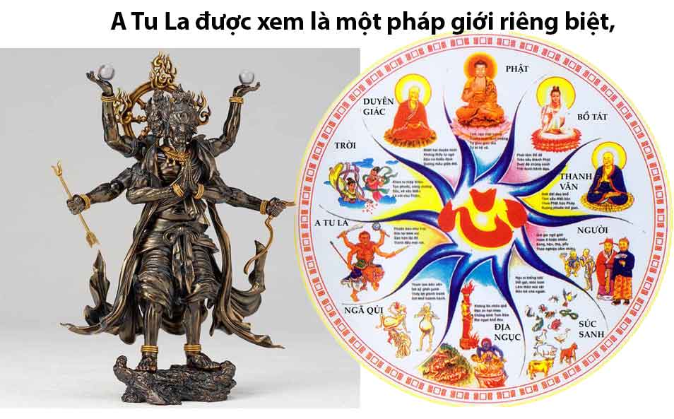 A Tu La Là Gì? Gallery 1