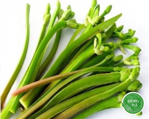 Rau Ba Khía: Nguồn dinh dưỡng và những điều cần biết Gallery 1