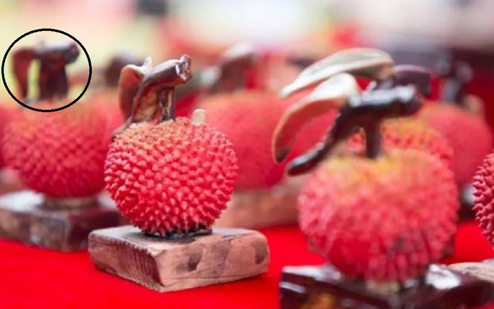 Vải Gia Lục Đặc Sản Tân Thành Gallery 1
