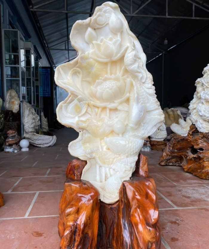 Vỏ Sò Tai Tượng: Nguồn Gốc, Ý Nghĩa Và Cách Sử Dụng Gallery 1