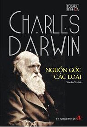 Sa Bai Thai Darwin Gallery 1