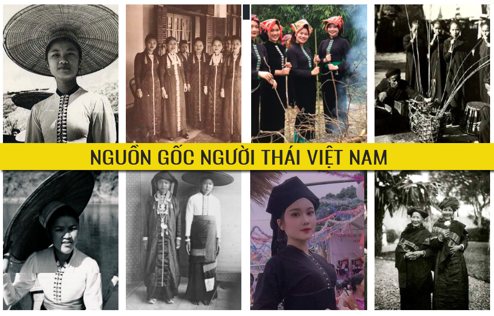 Thái Lọ: Nguồn Gốc, Ý Nghĩa Và Ứng Dụng Trong Văn Hóa Việt Nam Gallery 1