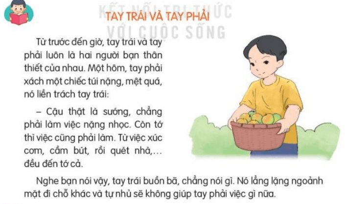 Câu chuyện Tay Trái Tay Phải: Ý nghĩa sâu sắc về sự hợp tác và bổ sung Gallery 1