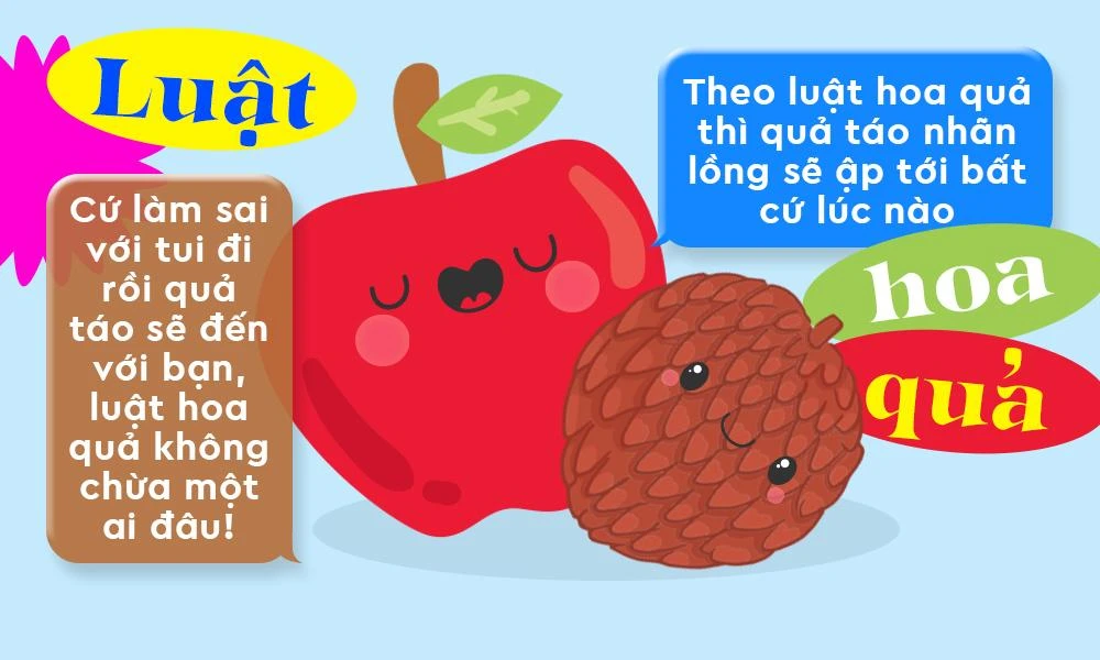 Quả Táo Nhãn Lồng Là Gì? Gallery 2