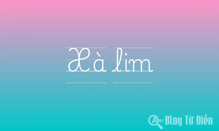 Xà Lim Là Gì? Gallery 1